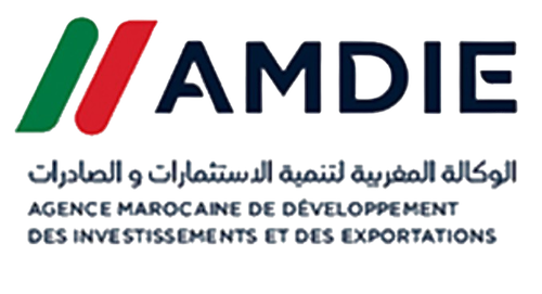 logo amdie